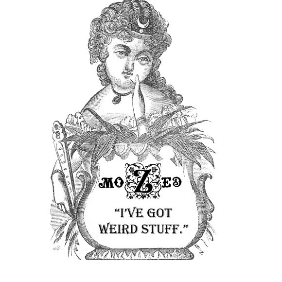 Meet your Posher, MoZed - Picture 3 of 5